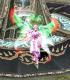 ElfGirlHN