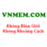 vnmem.com